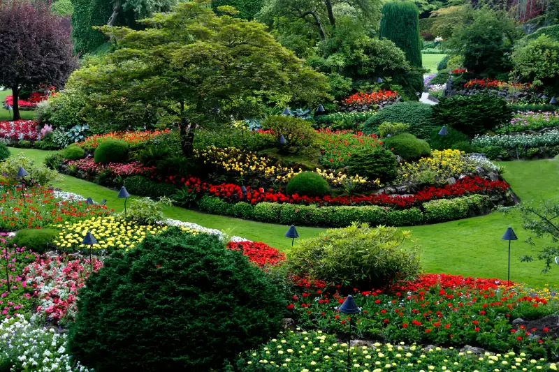 Jardin en pleine floraison : massifs de vivaces rouges et jaunes bordés de haies basses le long d'un sentier
